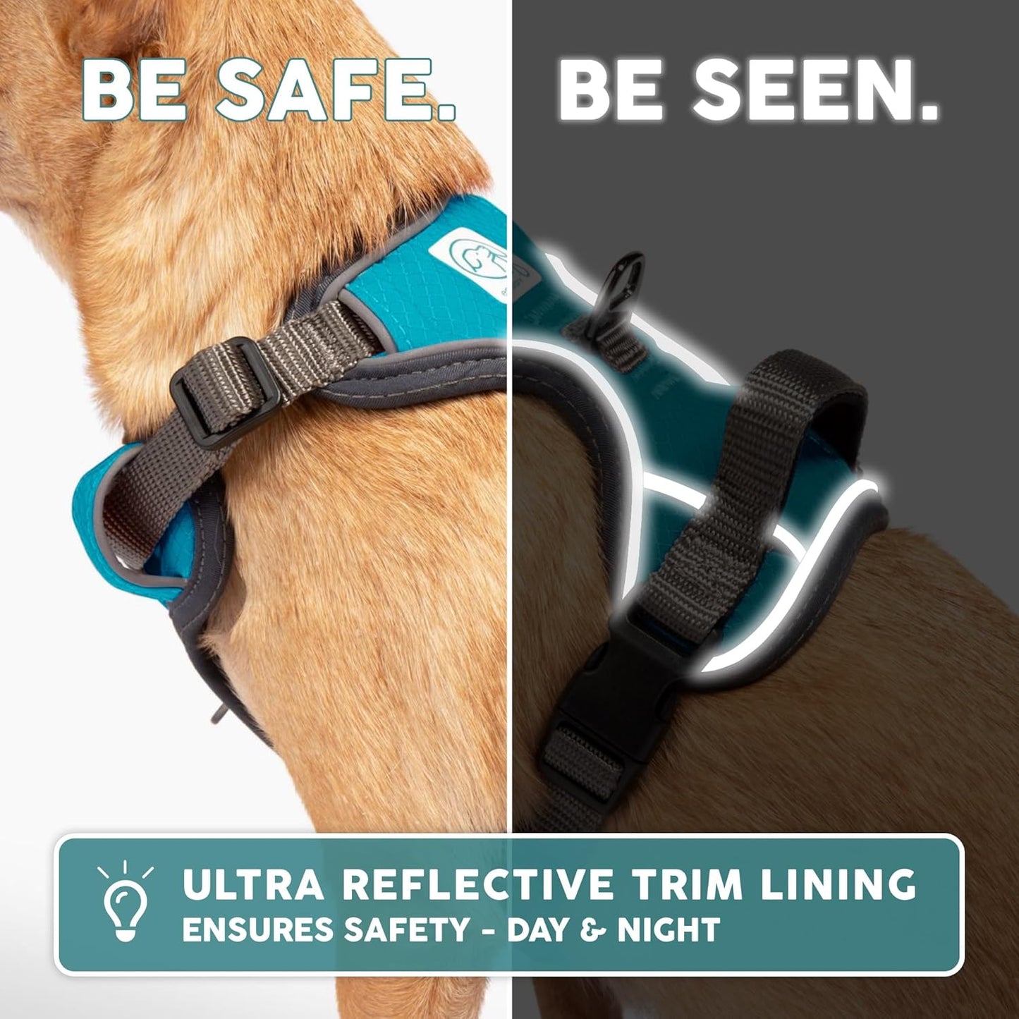 Embark Adventure Dog Harness, Easy on and off with Front and Back Leash Attachments & Control Handle - No Pull Training, Size Adjustable and Non Choke