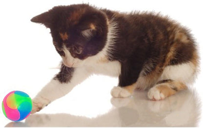 2 Pcs Light up Dog Balls Flashing Elastic Ball Glow in the Dark Interactive Pet Toys for Puppy, Cats, Dogs