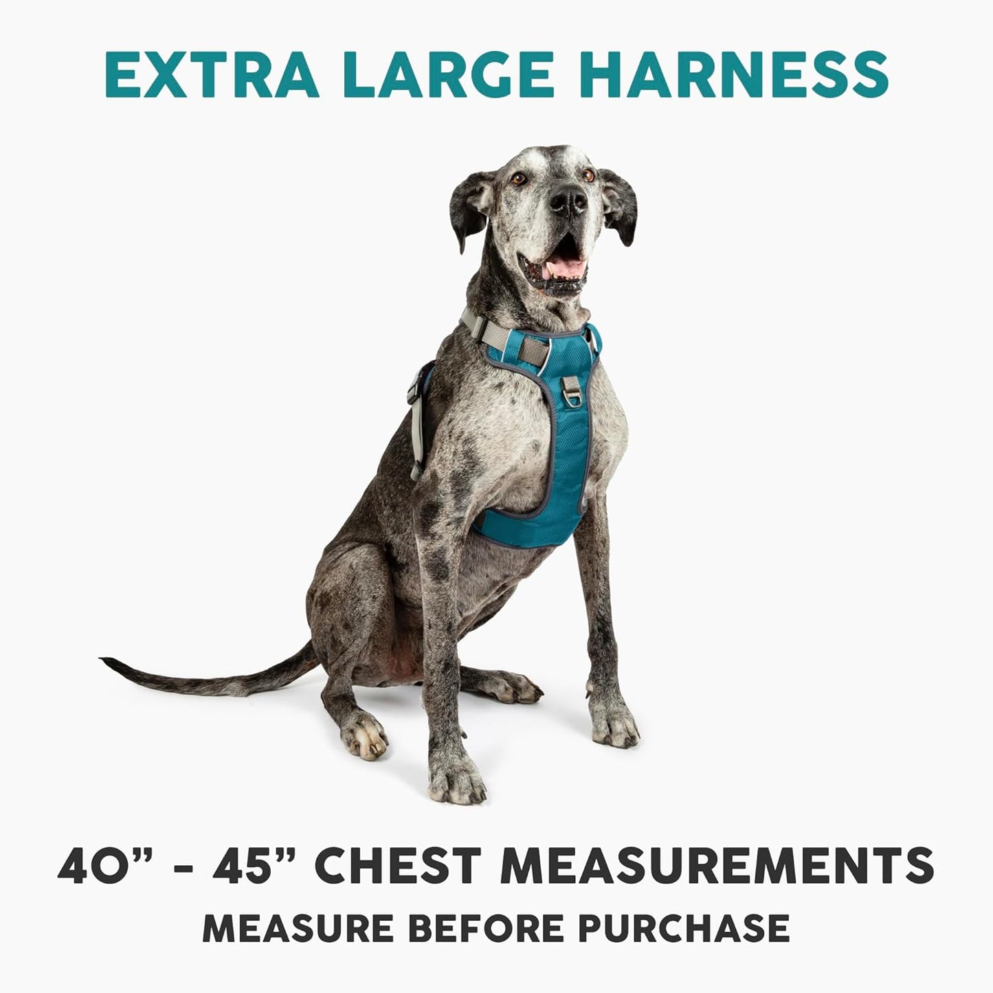 Embark Adventure Dog Harness, Easy on and off with Front and Back Leash Attachments & Control Handle - No Pull Training, Size Adjustable and Non Choke