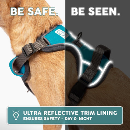 Embark Adventure Dog Harness, Easy on and off with Front and Back Leash Attachments & Control Handle - No Pull Training, Size Adjustable and Non Choke