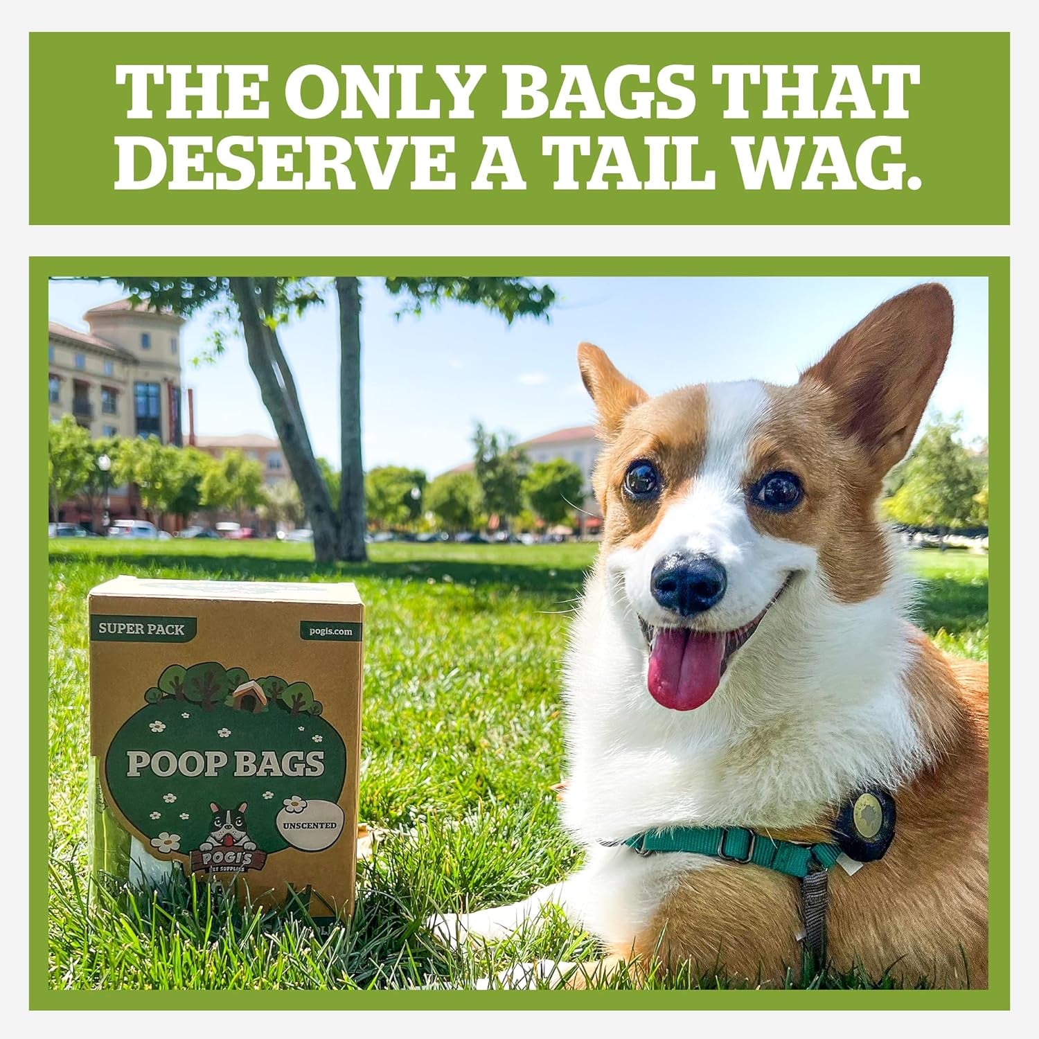 Pogi'S Dog Poop Bags with Handles Bulk - 900 Unscented Doggy Poop Bags with Easy-Tie Handles - Leak-Proof, Ultra Thick Poop Bags for Dogs, Cat Poop Bags