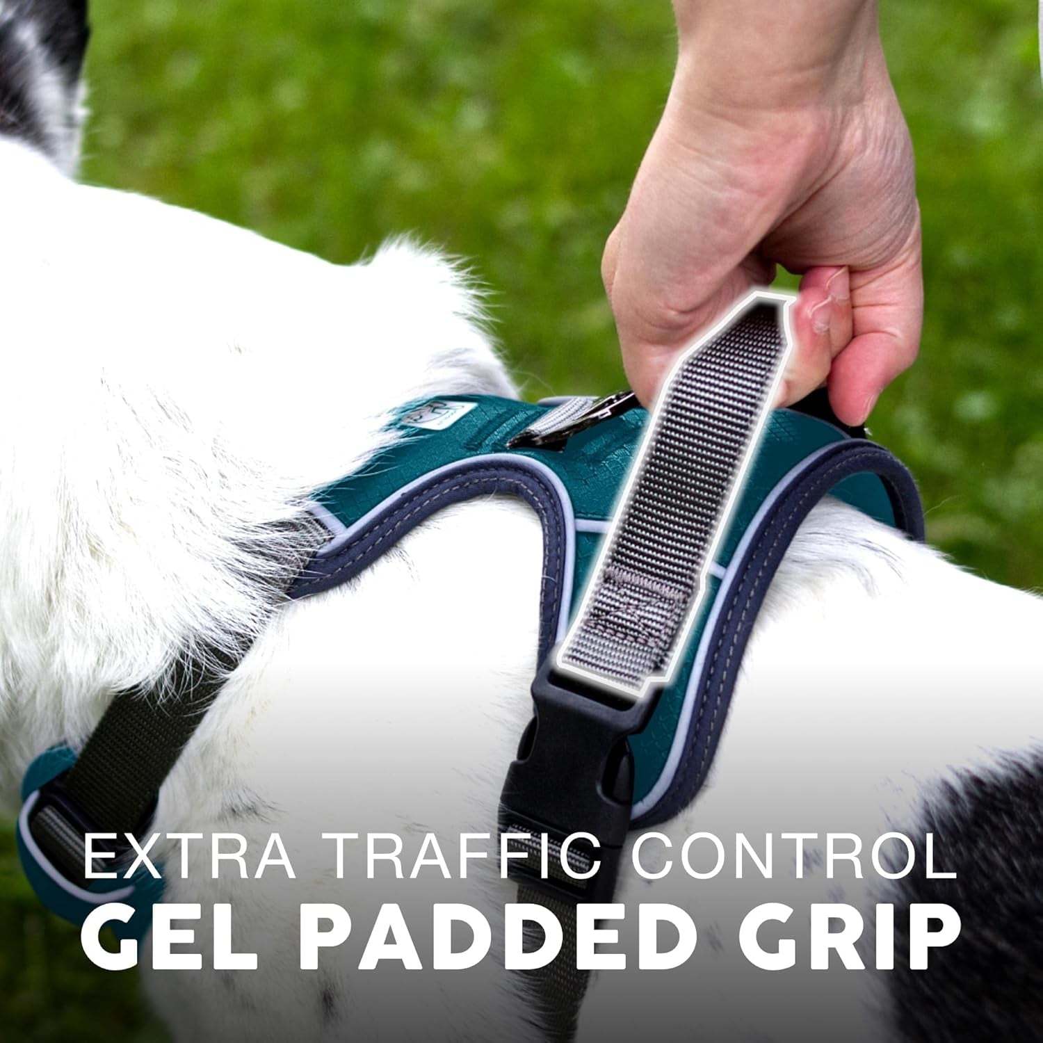 Embark Adventure Dog Harness, Easy on and off with Front and Back Leash Attachments & Control Handle - No Pull Training, Size Adjustable and Non Choke